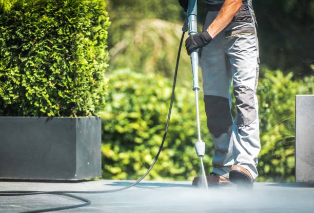 Reliable La Joya, TX Pressure washing Solutions