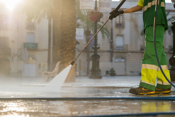 Boat and Dock Cleaning in La Joya, TX